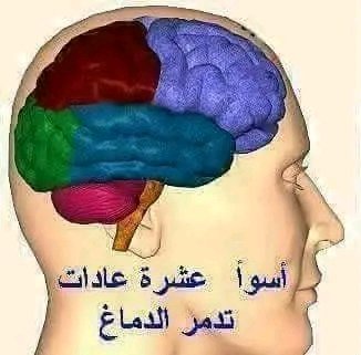 t_mnw56084's tweet photo. 🧠🧠🧠أسوأ 10 عــــــــادات ��ـــــــدمر الدمــــــــــاغ🧠🧠🧠🧠🧠👇.👇🤔
تابع الثريد 👇👇👇 وشاركة لتصل الفائدة للجميع https://t.co/DU2drxxUOO