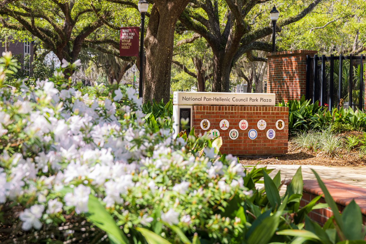 FSU Student Affairs tweet media