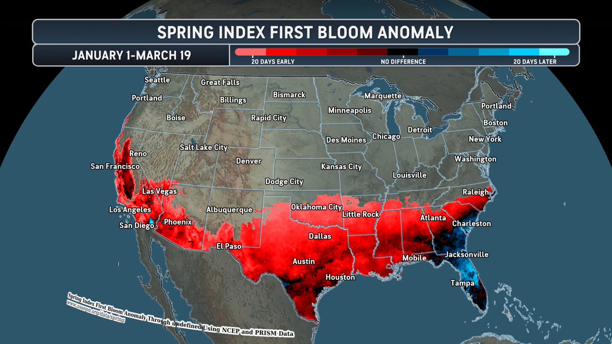 Jesse Ferrell tweet media
