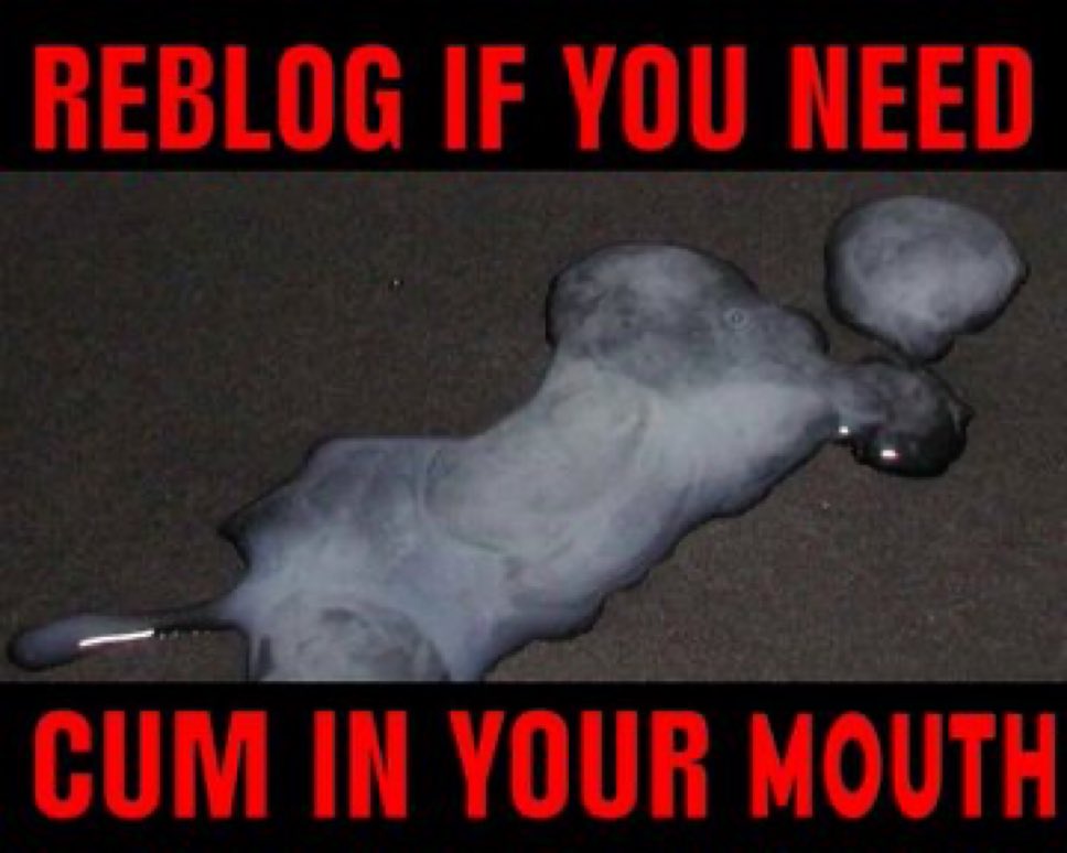 BBC Alpha _T.J tweet media