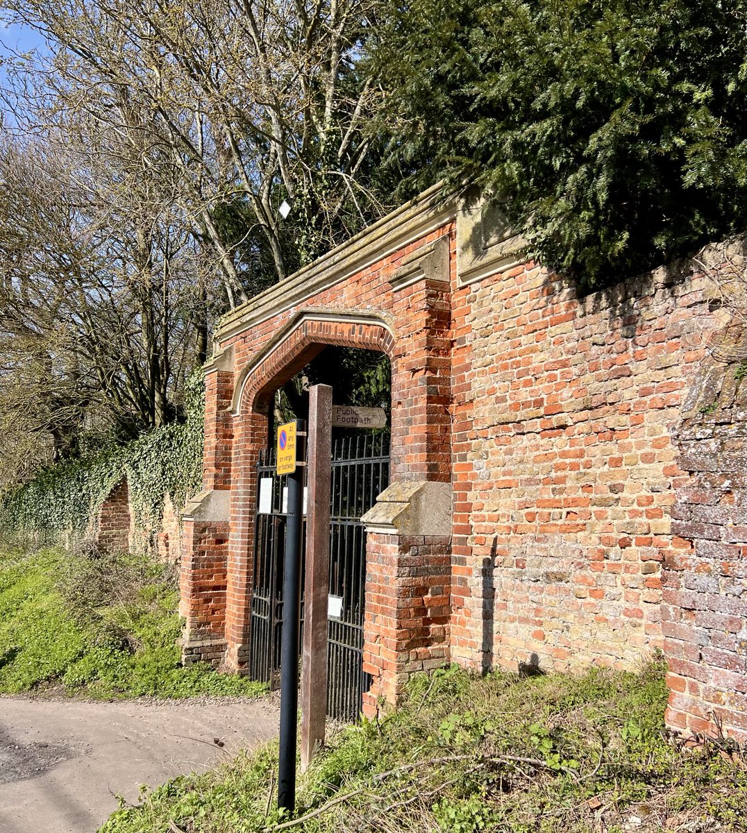 Matthew King tweet media