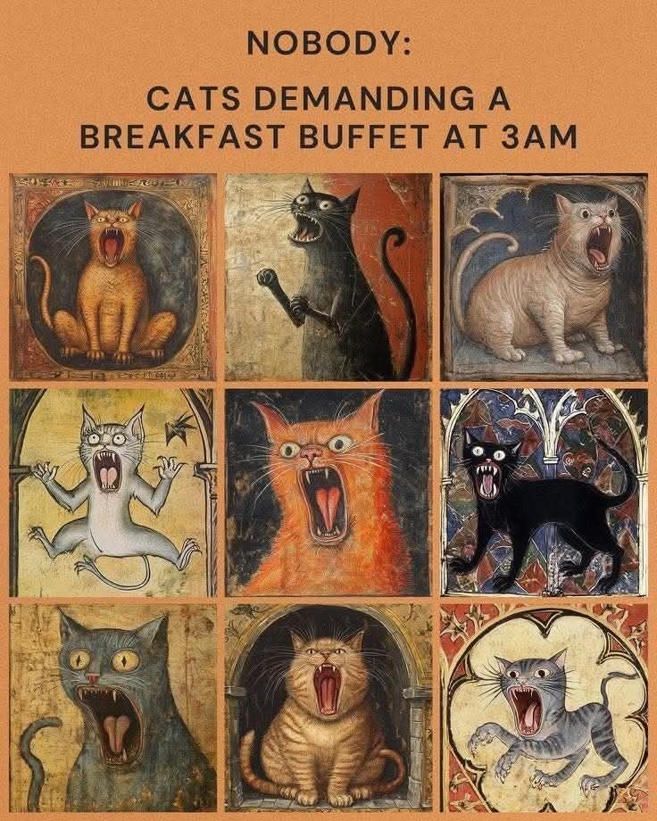 Raconteur Press, LLC tweet media