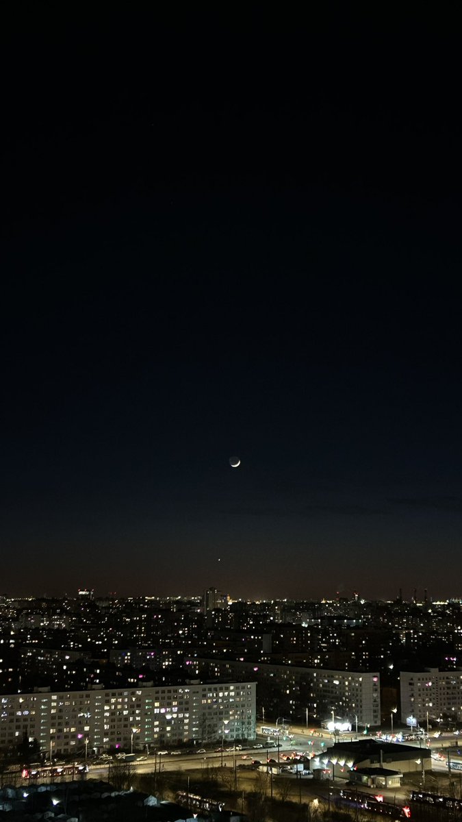 Енот Сеня🦝 tweet media