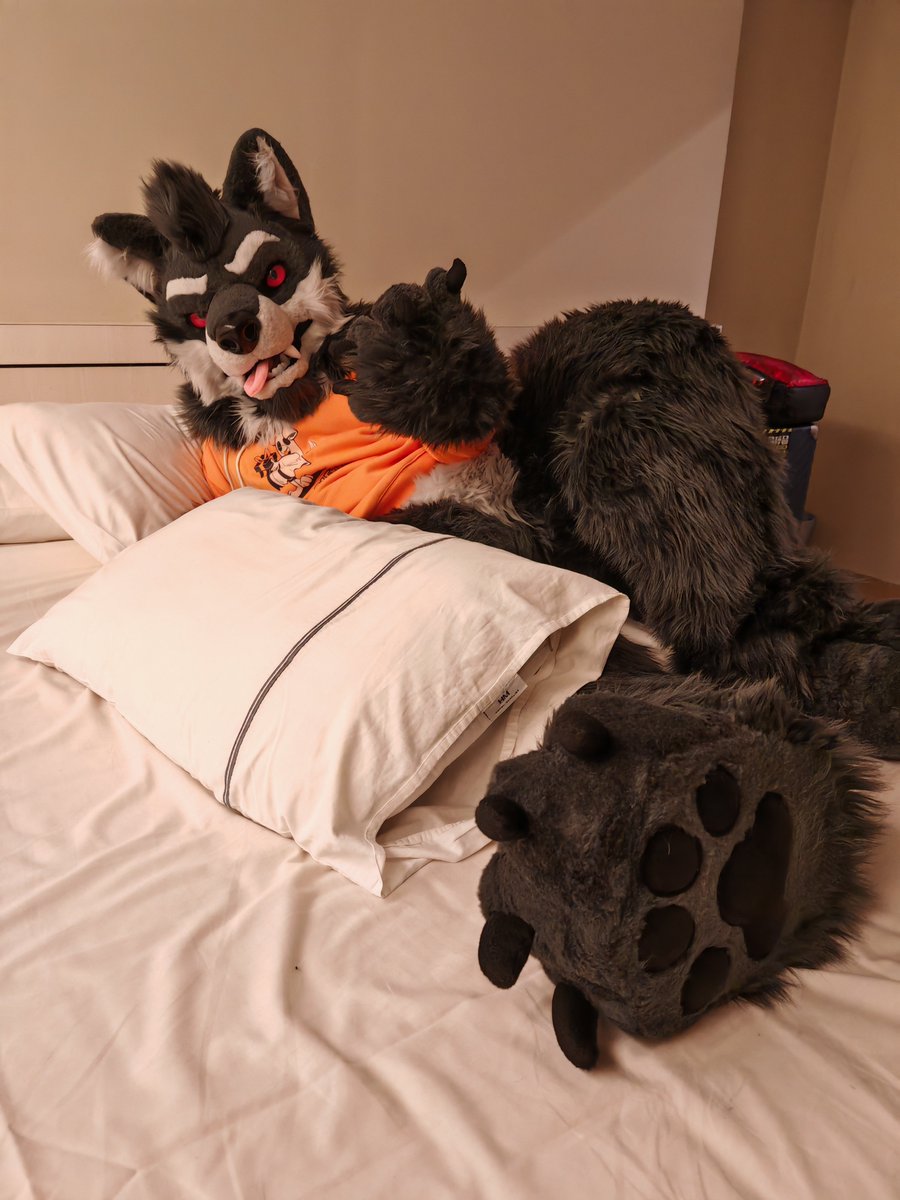 GreyKenny Wolfz 🔜✈️ BAH,FURUM 🇲🇾 / IWAG 🇲🇨 / tweet media