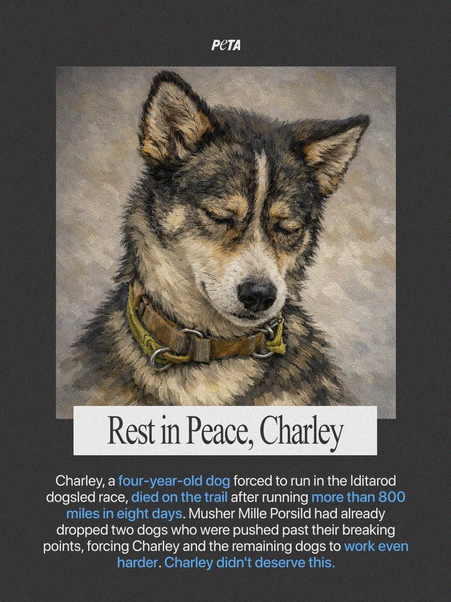 dominic dyer tweet media