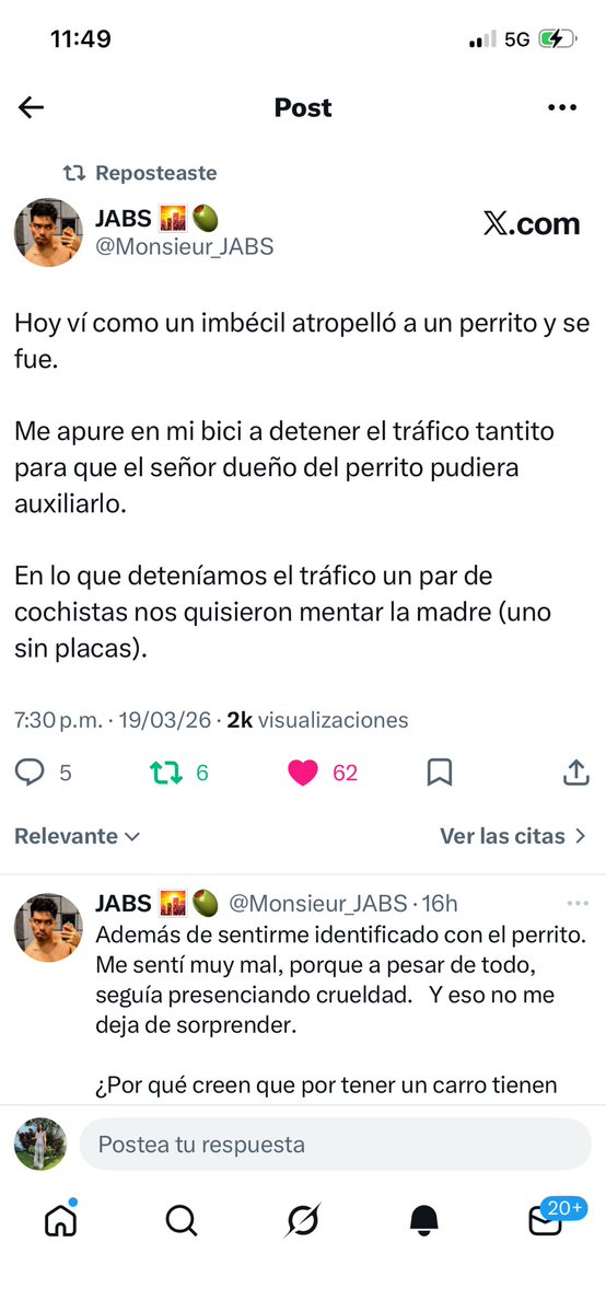 Ximena Rosas tweet media