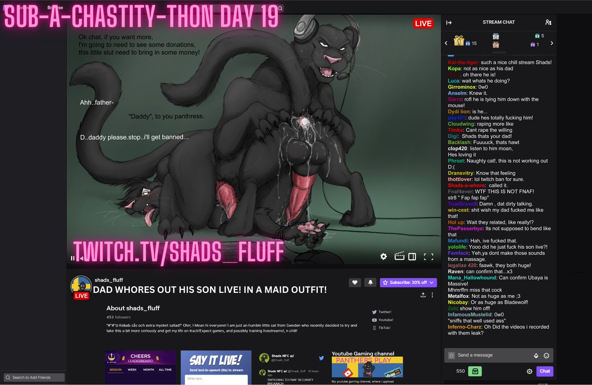 twitch cat⚠️🔞 tweet media