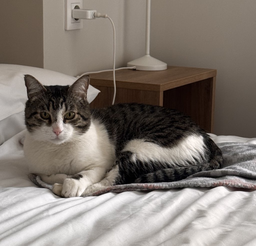 Infinito ∞ tweet media