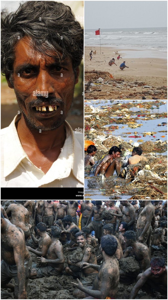 NotDepressed tweet media