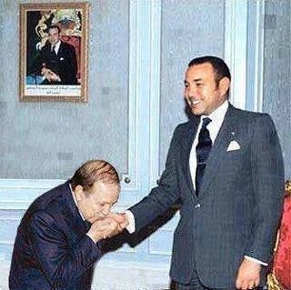 SD🇲🇦🇵🇸 tweet media