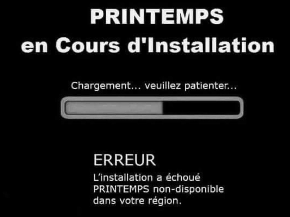 Francine Vx ⚜️✌🏾🎻🎹🎼🎷🎶💫⚡️🇨🇦 tweet media