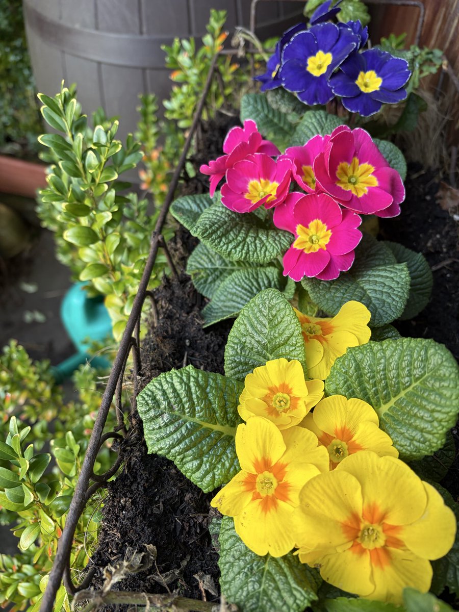 Mark Shephard 🏳️‍🌈 tweet media