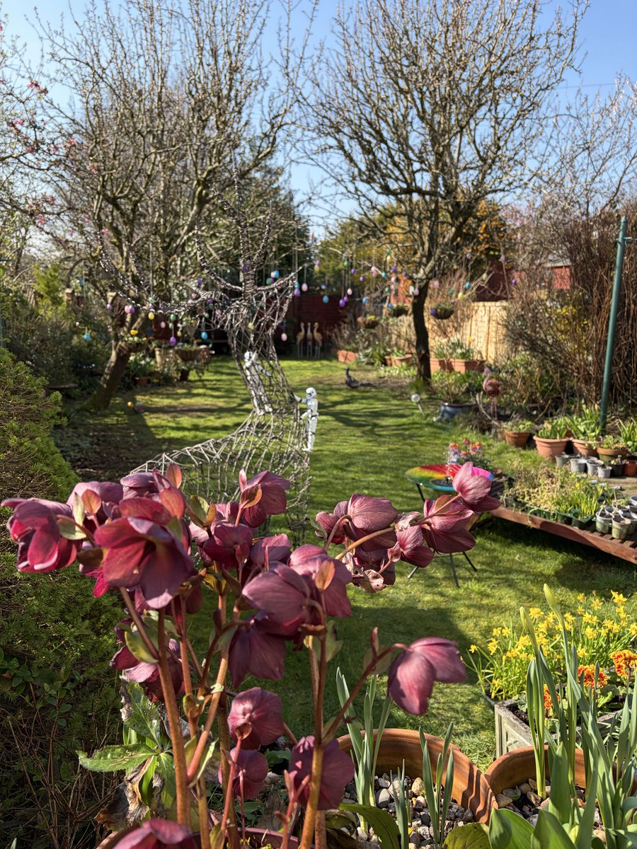 Mark Shephard 🏳️‍🌈 tweet media