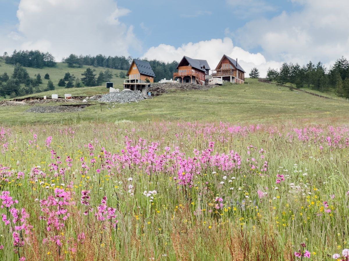 Globe Guide tweet media