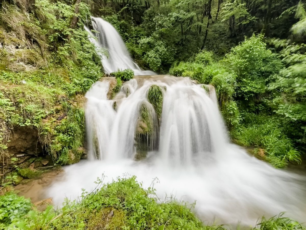 Globe Guide tweet media