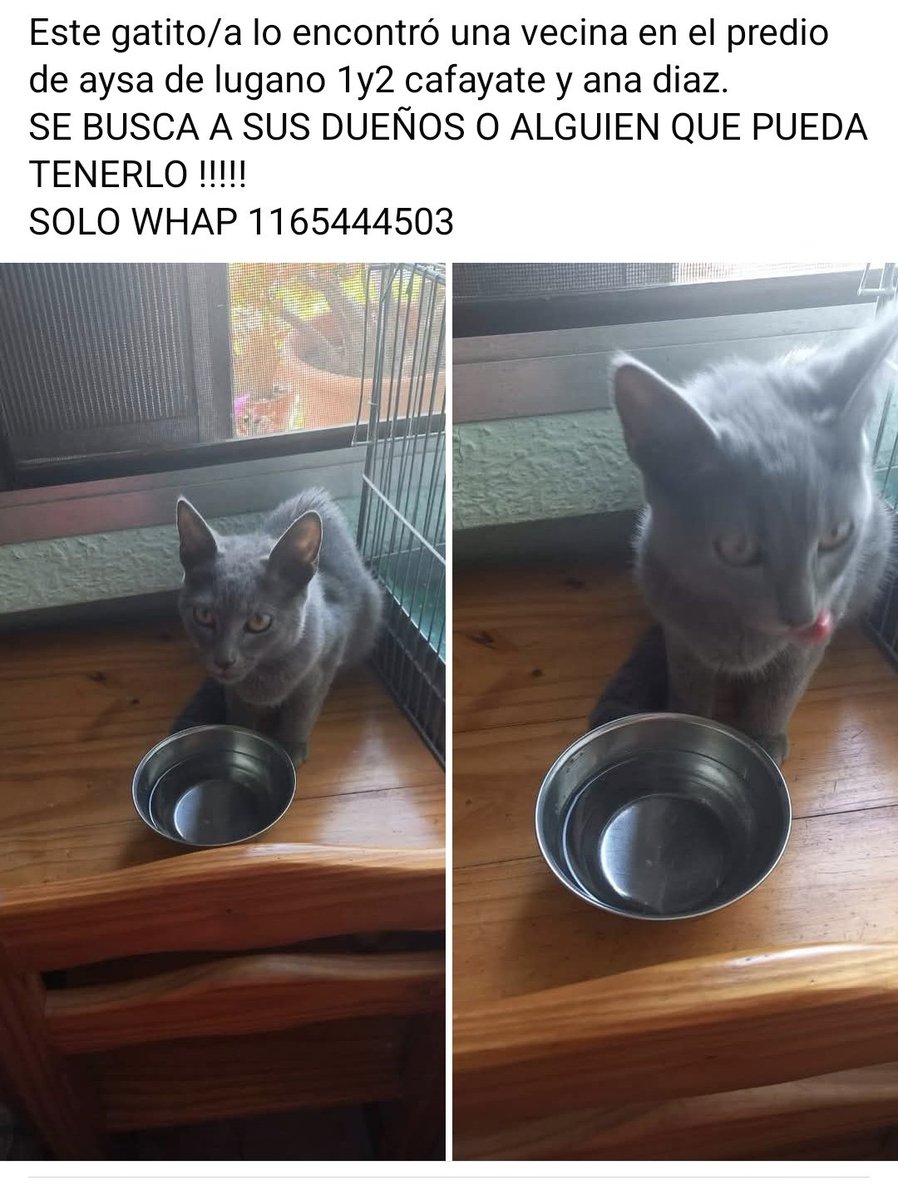 Encontrado zona lugano caba