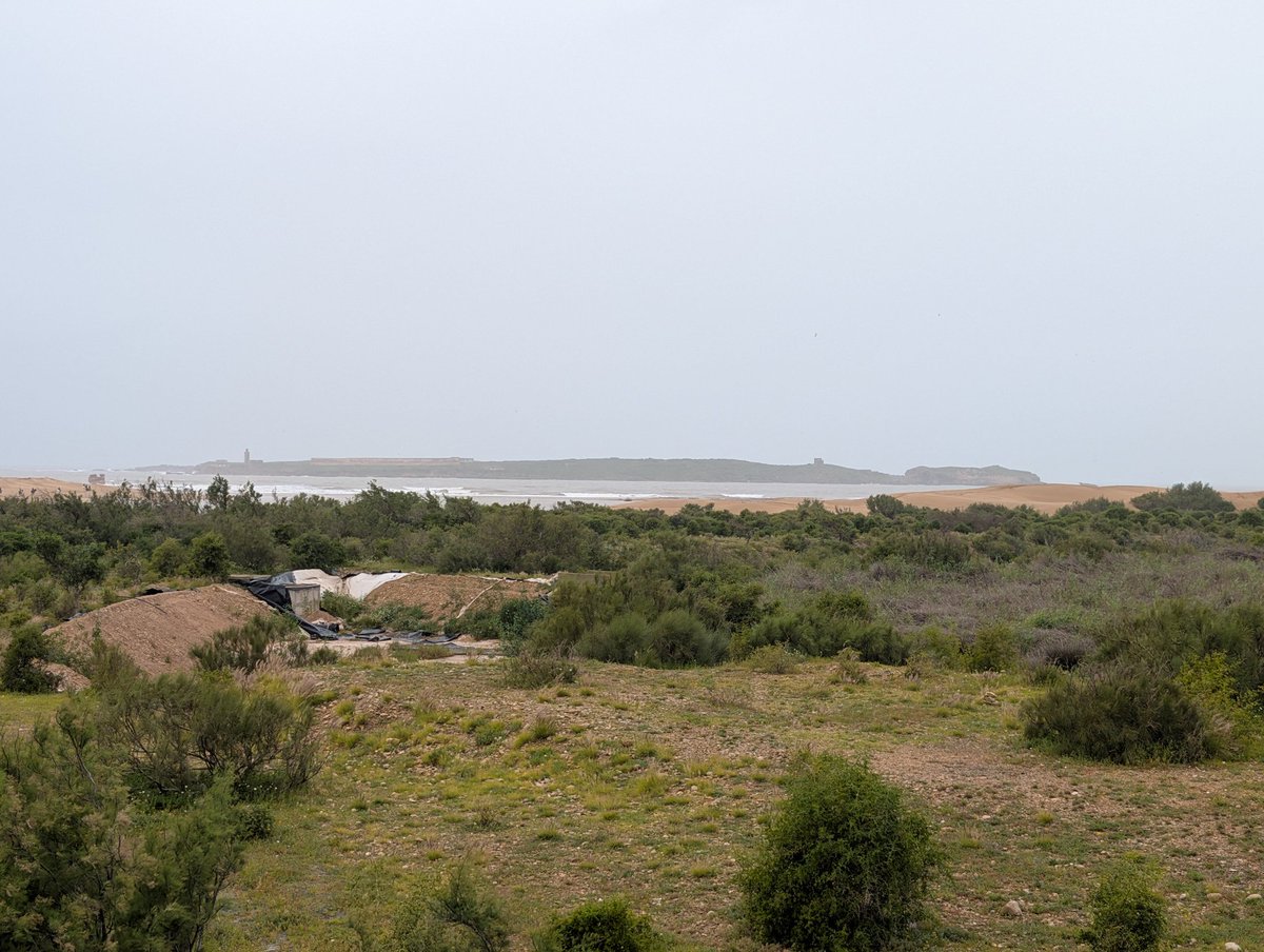 Radouane ELHAJALI tweet media