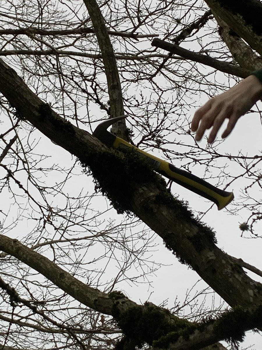 Cricket Psychopomp ΘΔ tweet media