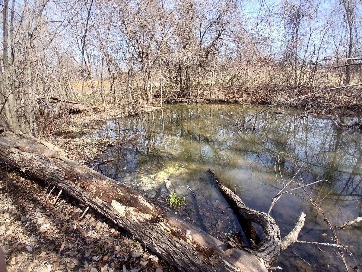 The Saba Guy tweet media