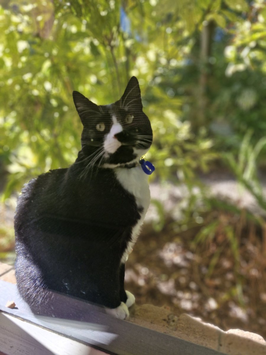 Jayce McMeeken tweet media