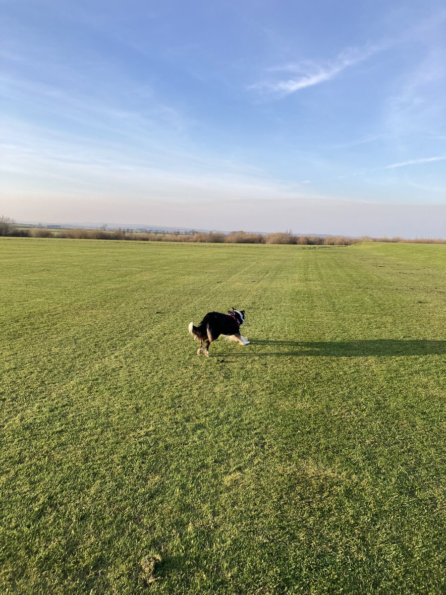 Lizzy Lou tweet media