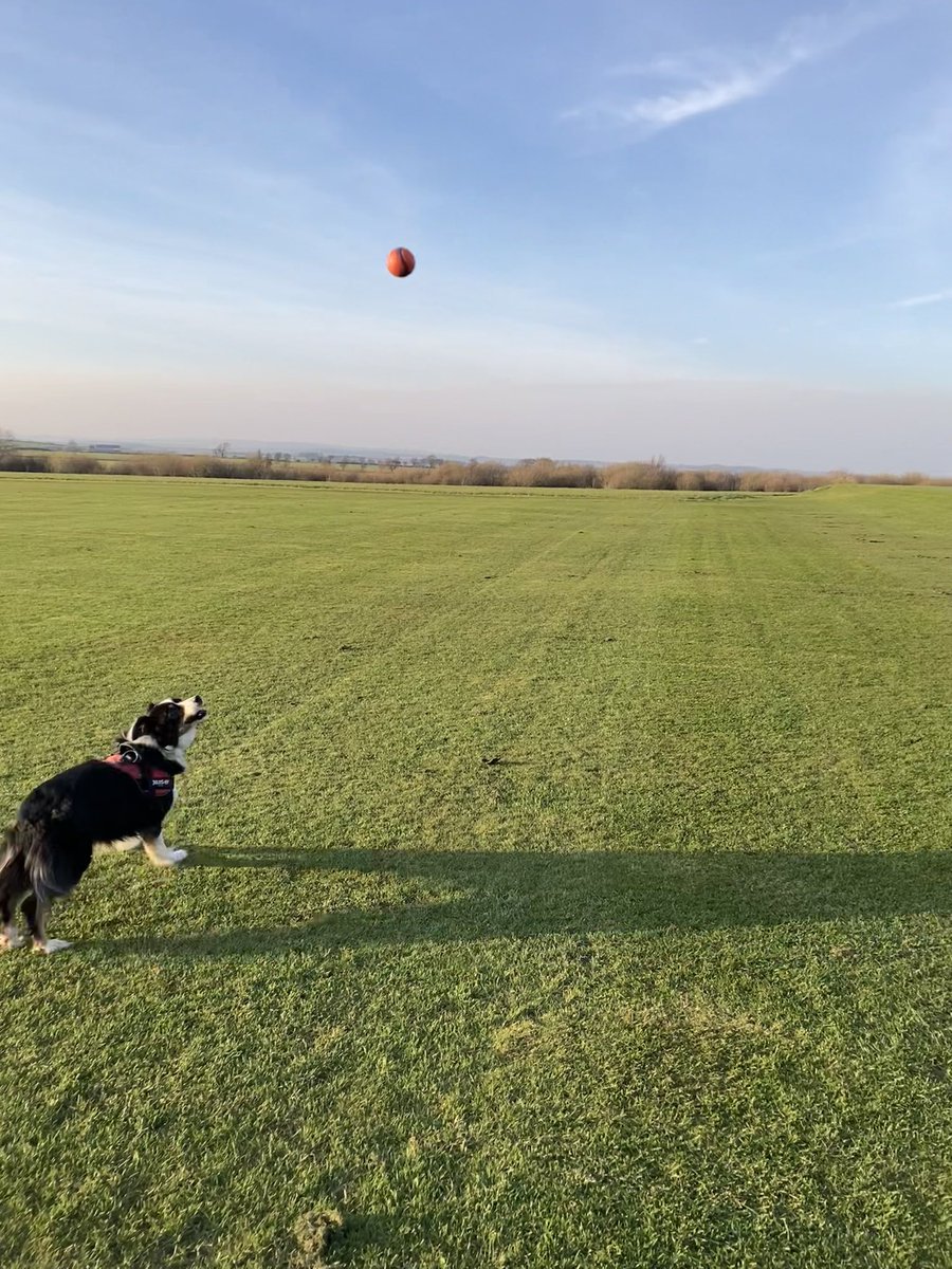 Lizzy Lou tweet media