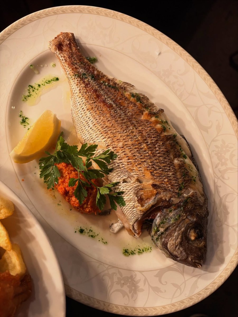 The Scallop Shell tweet media