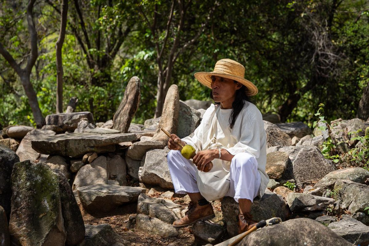 MinCultura Colombia tweet media