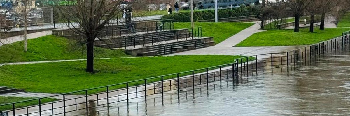 CoppiThat tweet media