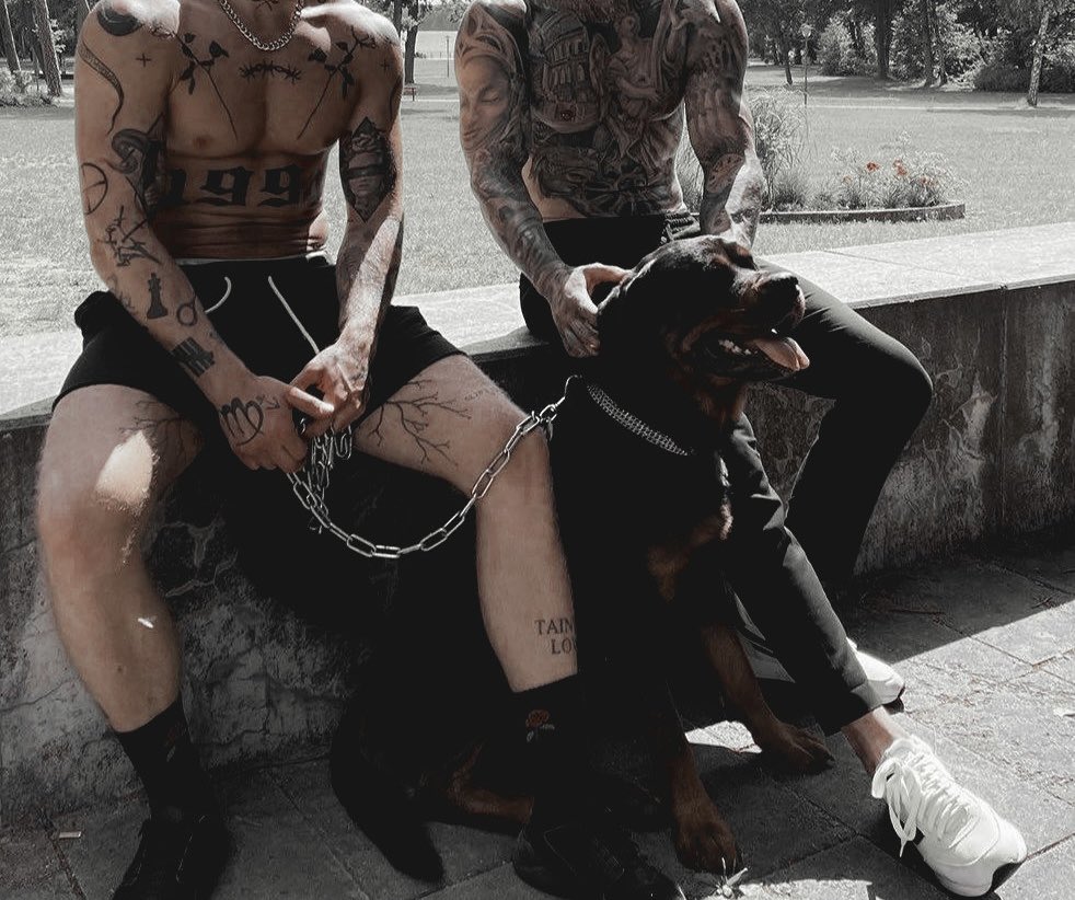 𝓐͟𝗥͟𝗘͟𝗦 tweet media