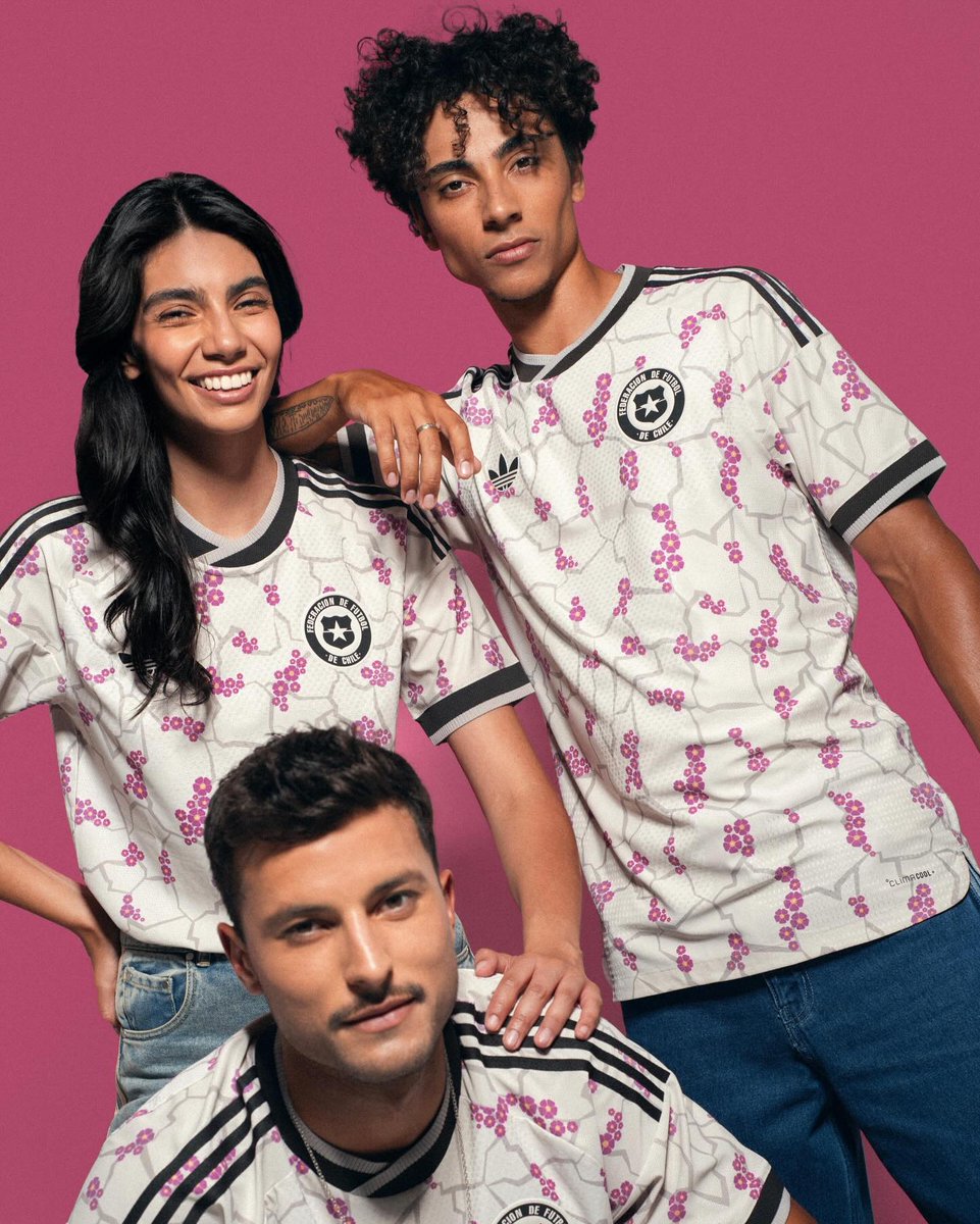 Sadly, one that we are not seeing at the World Cup. 🇨🇱 Chile
