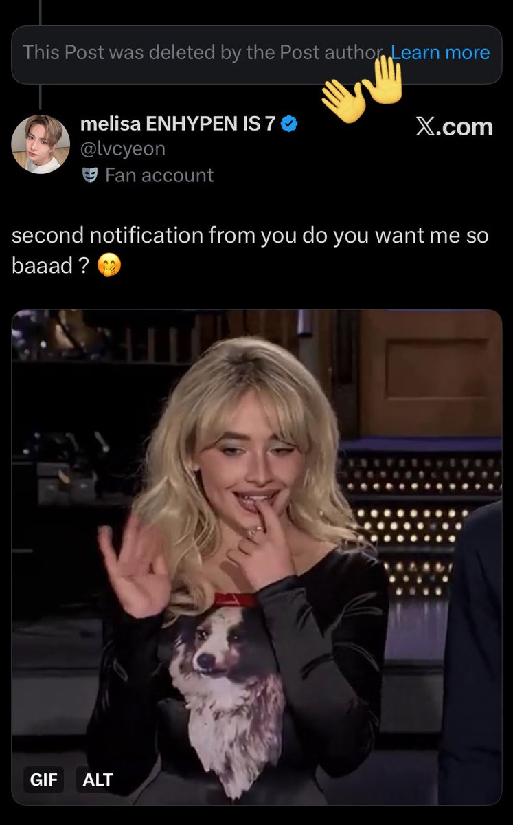 melisa sevEN tweet media