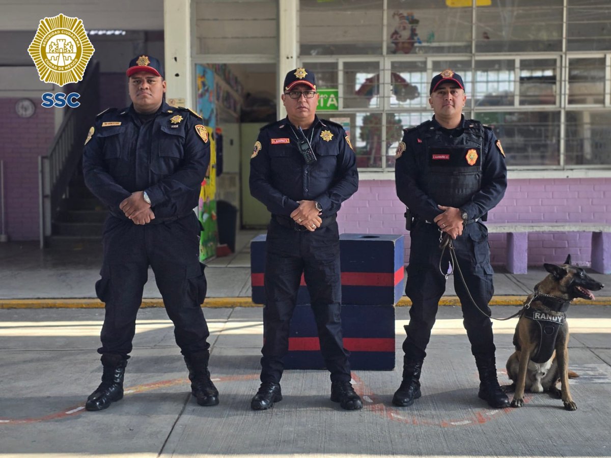 PBI_SSC's tweet photo. 🐾 La #UnidadCanina de la #PBI de la @SSC_CDMX llevó a cabo una exhibición en la Primaria #WinstonChurchill, ubicada en @TuAlcaldiaGAM, en la que #Randy y #Kaly mostraron sus habilidades operativas a las y los estudiantes, fortaleciendo la cercanía con la comunidad escolar y promoviendo la cultura de la prevención y la seguridad. 👮♀️🐕🦺📚👮♂️