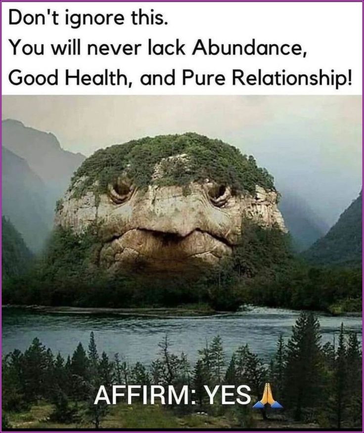 Law_of_attraction tweet media