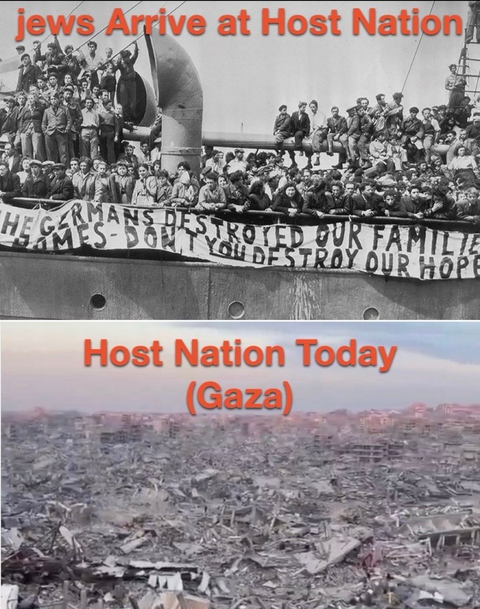 🇵🇸 Cincinnati Reds tweet media