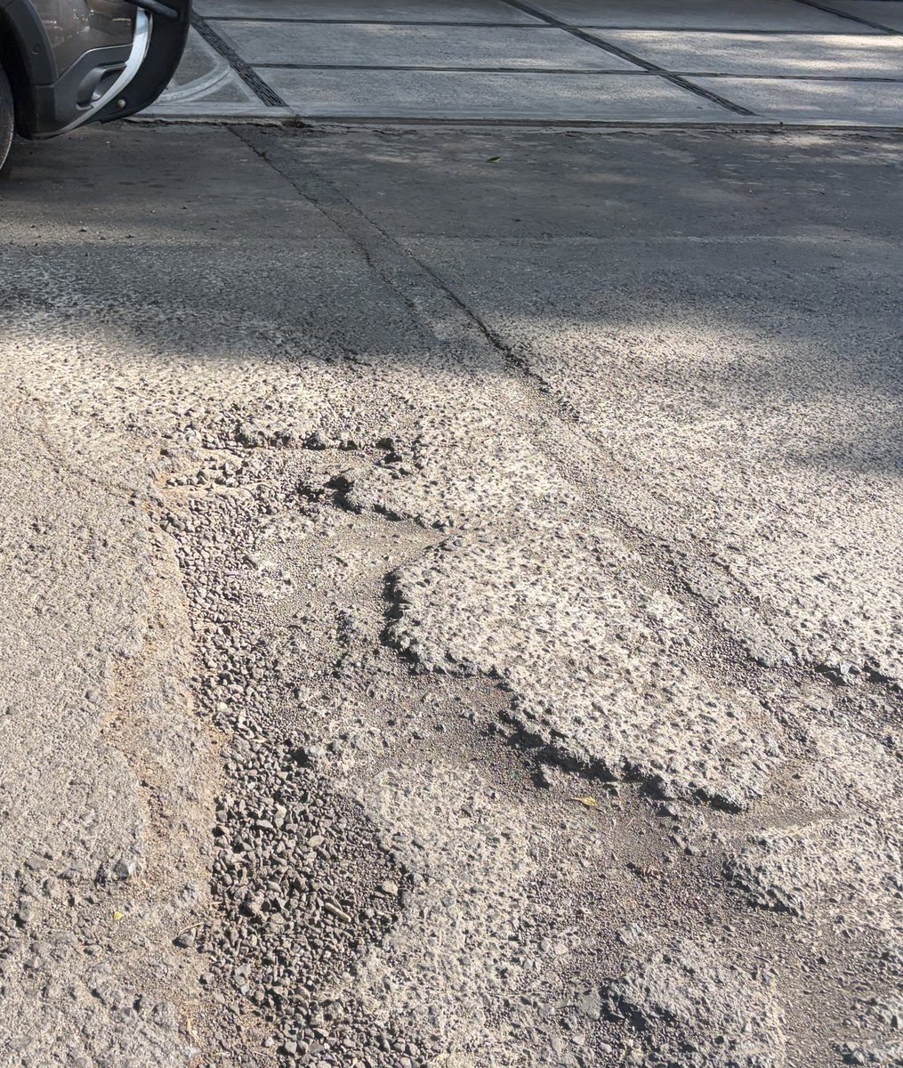 Reportandocdmx👀 tweet media