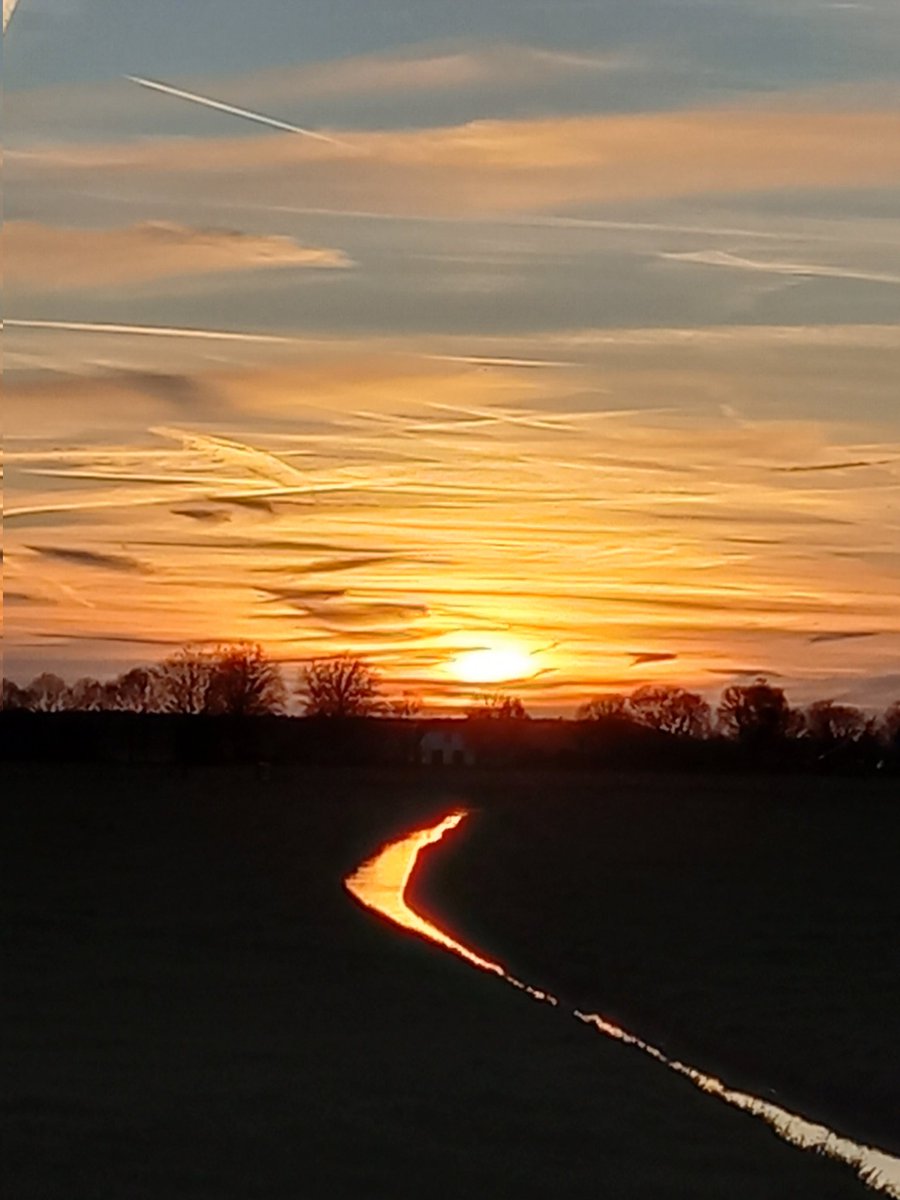 RustpuntDelagelinde tweet media