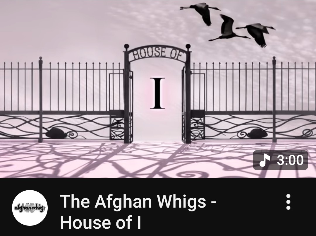 Jac Gruenwald tweet media