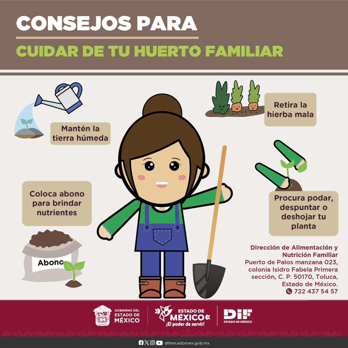 DIF Estado de México tweet media