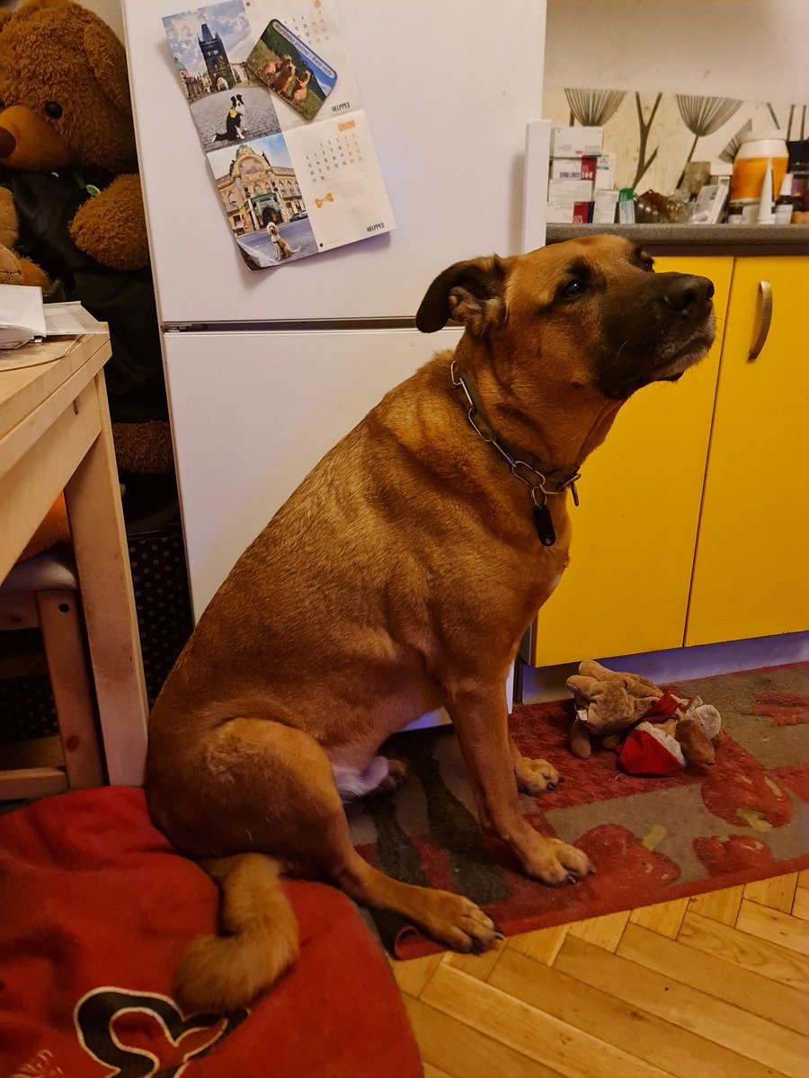 Jak sedi na prdeli (slovensky bysme rekli sedi na riti ;) a hlida tu lednici. A u toho houka jak sirena. Smula Emilku, nic z te lednice nevypadne ;))

#emil_sinclair