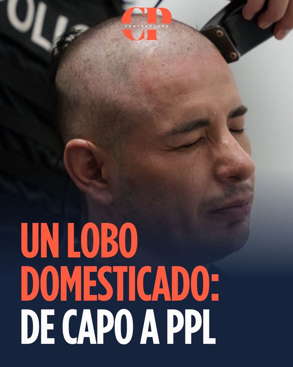 Contraplano tweet media