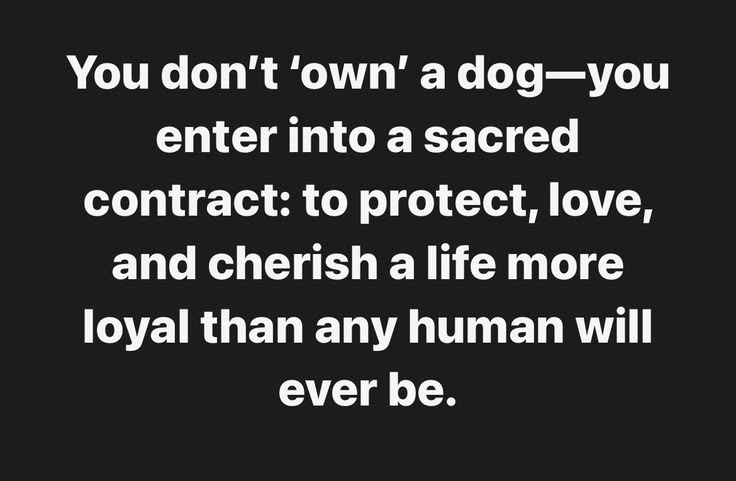 CRAIG קרייג 🙏🏻🌻😊✨💖 tweet media