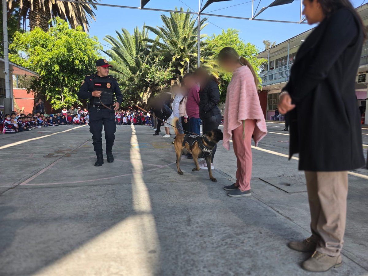 PBI_SSC's tweet photo. 🐾 La #UnidadCanina de la #PBI de la @SSC_CDMX llevó a cabo una exhibición en la Primaria #WinstonChurchill, ubicada en @TuAlcaldiaGAM, en la que #Randy y #Kaly mostraron sus habilidades operativas a las y los estudiantes, fortaleciendo la cercanía con la comunidad escolar y promoviendo la cultura de la prevención y la seguridad. 👮♀️🐕🦺📚👮♂️