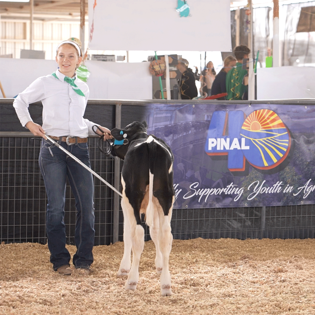 Pinal40's tweet photo. 🐄🐐🐖🐑 Pinal 40 proudly supports the Pinal County youth at the Junior Livestock Auction!
Tomorrow, March 21 • 12 PM • Fairgrounds — come cheer them on!
#PinalCounty #JuniorLivestock #SupportLocalYouth https://t.co/yfD471D6fY