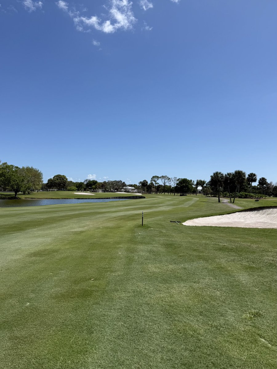 Pete “will make you” Dye tweet media