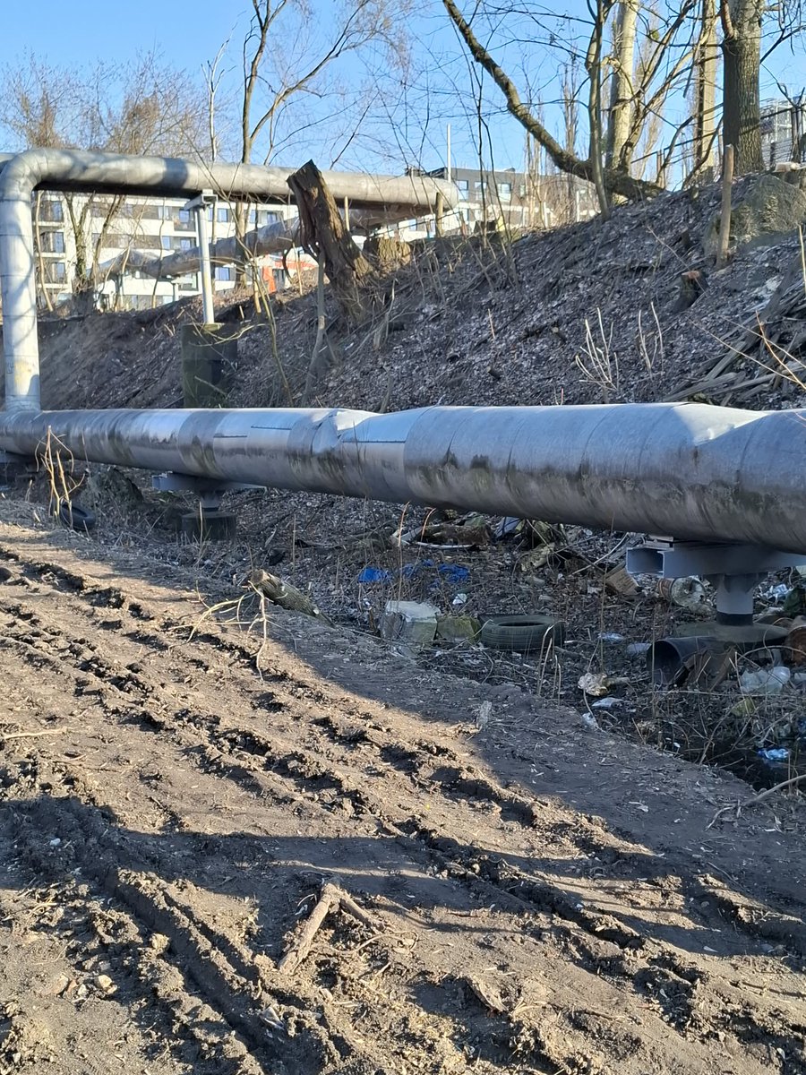 poznan_moment tweet media