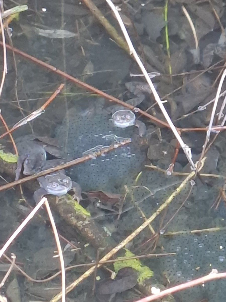 poznan_moment tweet media