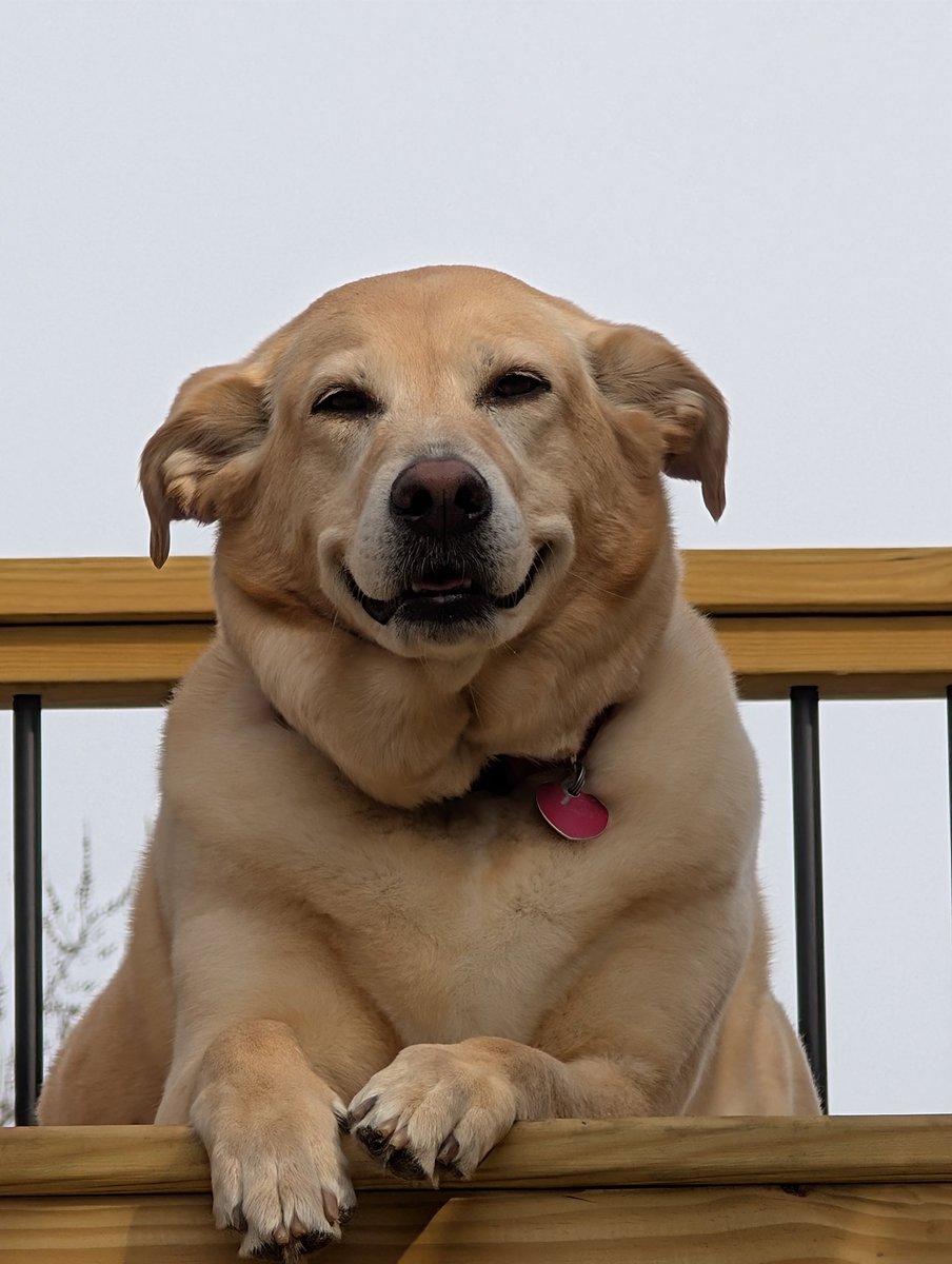 Timothy Fountain tweet media