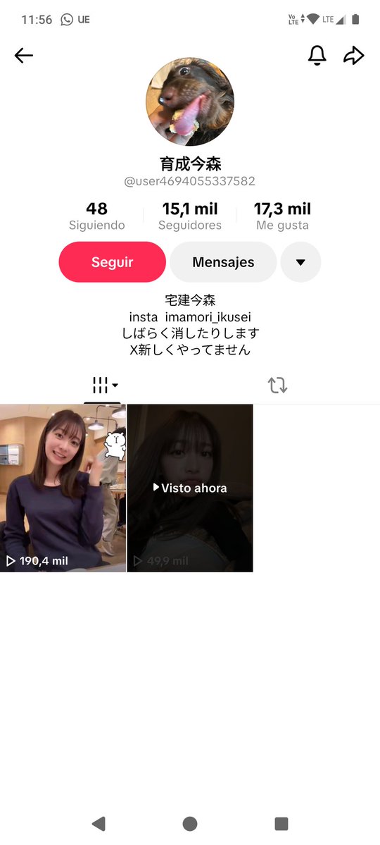 Alejandra tweet media