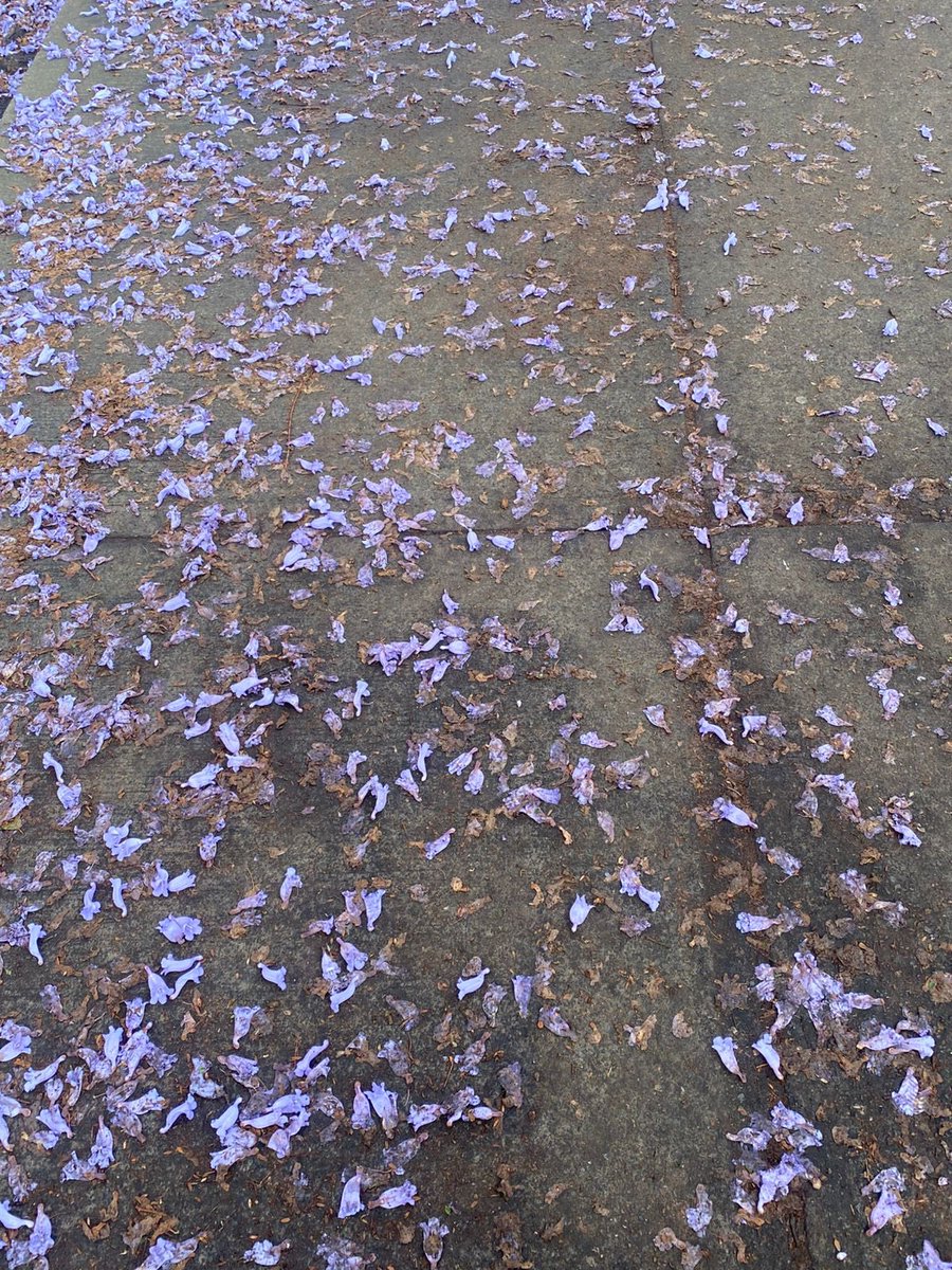 Alejandra Frausto tweet media